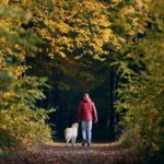 Seconde résidence dans les Ardennes