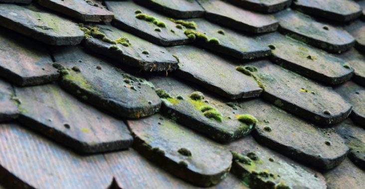 Démoussage toiture terre cuite